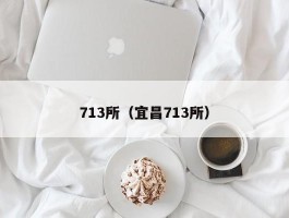 713所（宜昌713所）