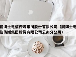 鹏博士电信传媒集团股份有限公司（鹏博士电信传媒集团股份有限公司云南分公司）