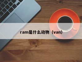 ram是什么动物（van）