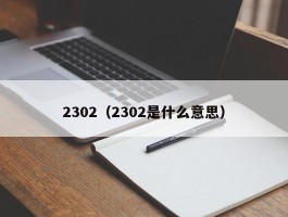 2302（2302是什么意思）