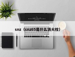 snz（snz65是什么消火栓）