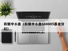 农银中小盘（农银中小盘660005基金分红）