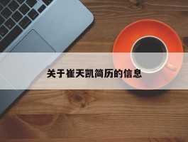 关于崔天凯简历的信息