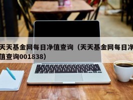 天天基金网每日净值查询（天天基金网每日净值查询001838）