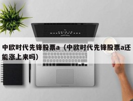 中欧时代先锋股票a（中欧时代先锋股票a还能涨上来吗）