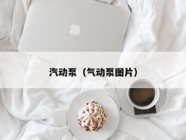 汽动泵（气动泵图片）