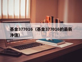 基金377016（基金377016的最新净值）