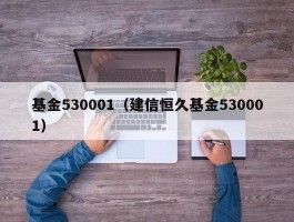 基金530001（建信恒久基金530001）