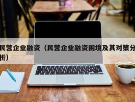 民营企业融资（民营企业融资困境及其对策分析）