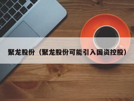 聚龙股份（聚龙股份可能引入国资控股）