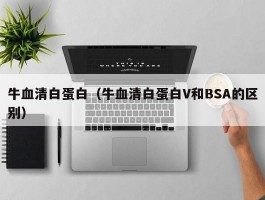 牛血清白蛋白（牛血清白蛋白V和BSA的区别）