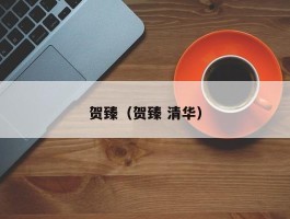 贺臻（贺臻 清华）