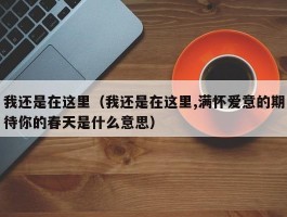 我还是在这里（我还是在这里,满怀爱意的期待你的春天是什么意思）