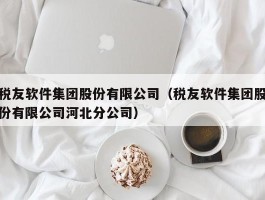 税友软件集团股份有限公司（税友软件集团股份有限公司河北分公司）