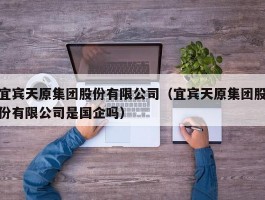 宜宾天原集团股份有限公司（宜宾天原集团股份有限公司是国企吗）