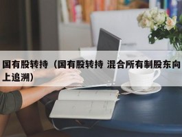 国有股转持（国有股转持 混合所有制股东向上追溯）