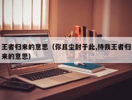 王者归来的意思（你且尘封于此,待我王者归来的意思）