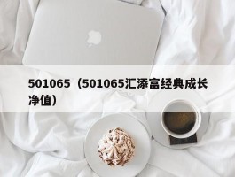 501065（501065汇添富经典成长净值）